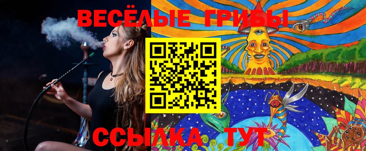 Псилоцибиновые грибы GOLDEN TEACHER Иваново