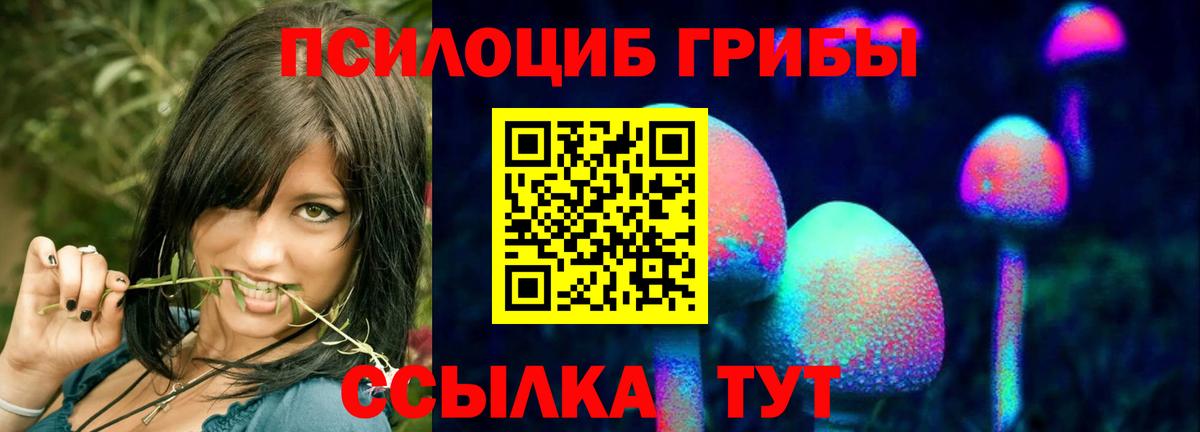 Иваново  Галлюциногенные грибы Cubensis  Вход с VPN 